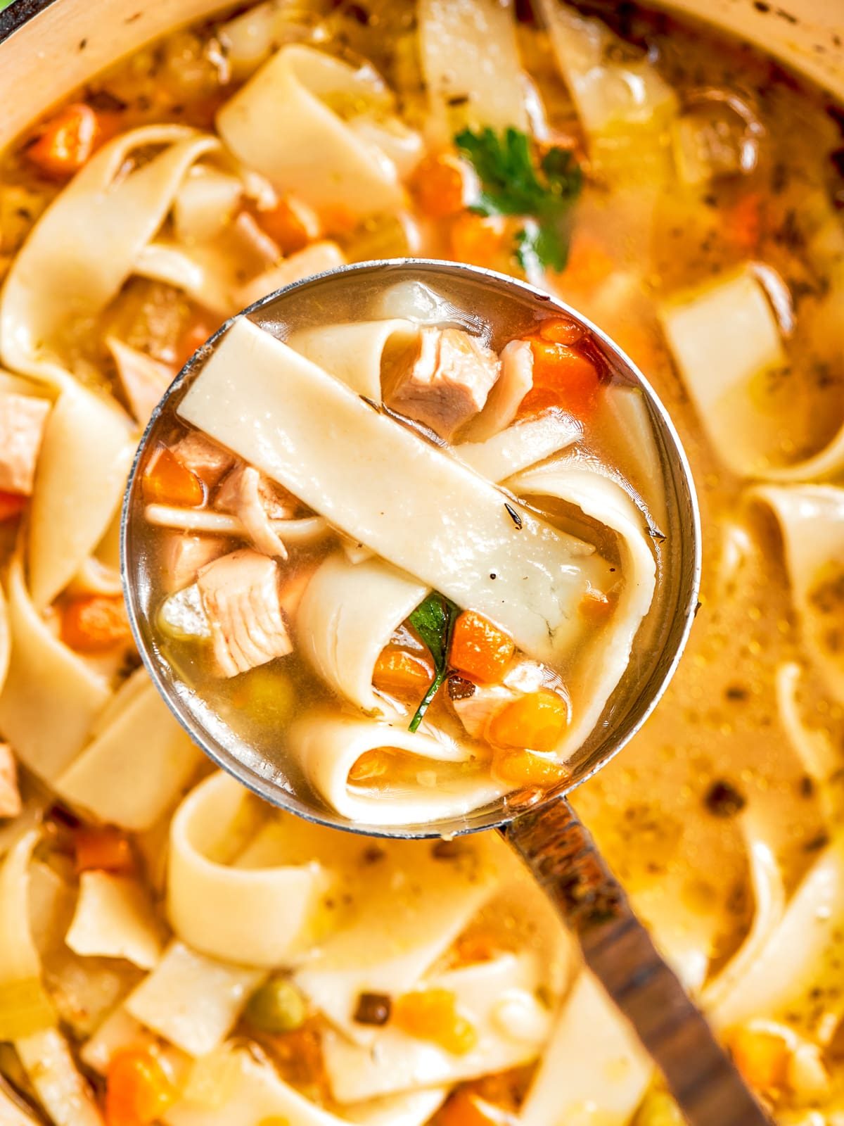 Chicken Noodle Soup Finished with Herbs