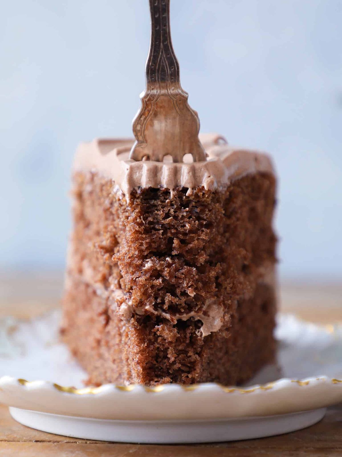 Chocolate Fudge Cake Baked Until the Center Springs Back