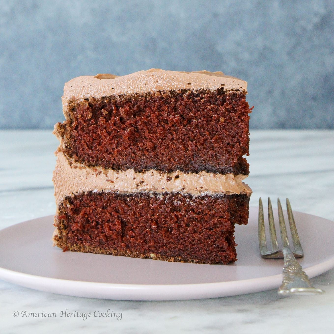 Chocolate Mayonnaise Cake Baked Until the Center Springs Back