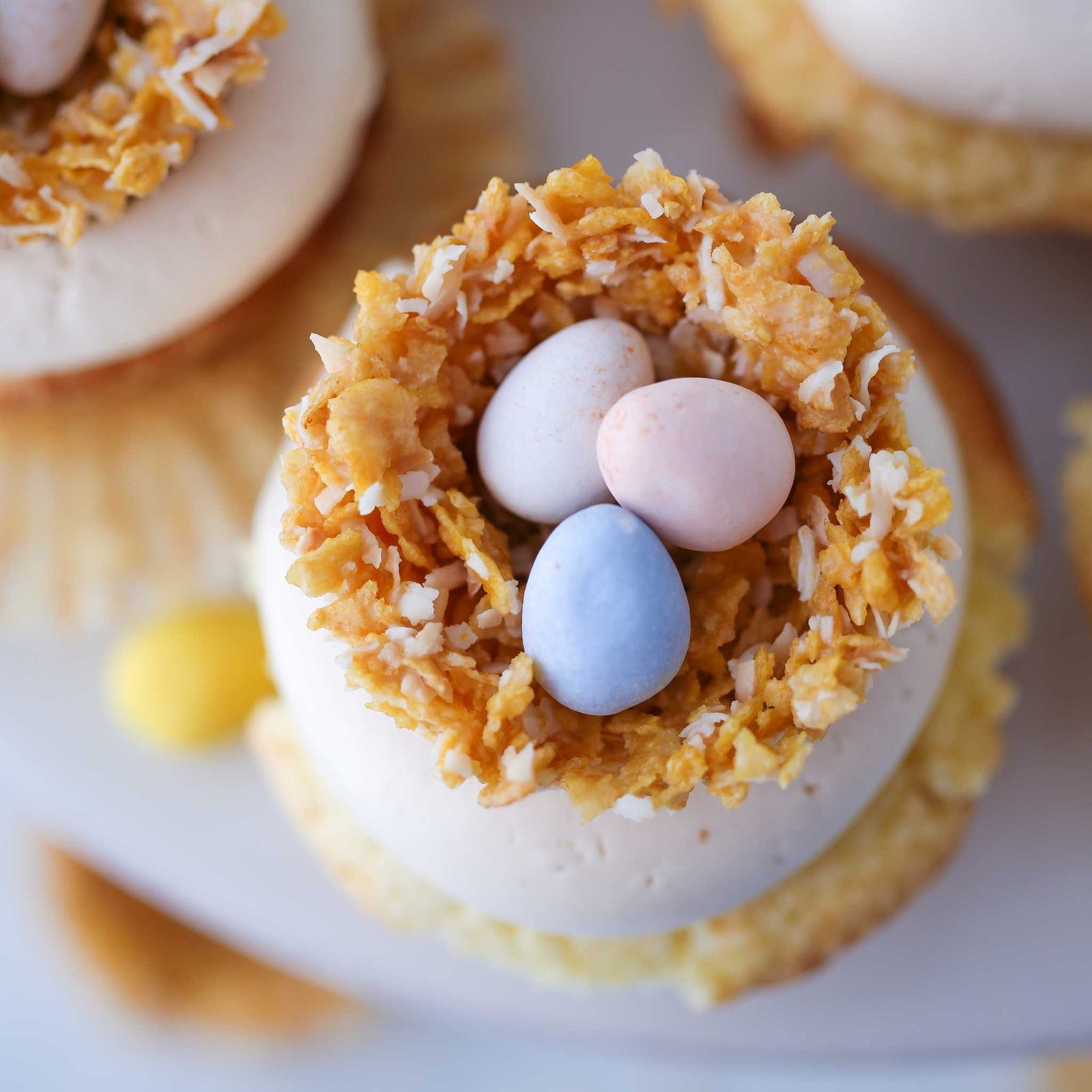 Coconut White Chocolate Nests for the Dessert Plate