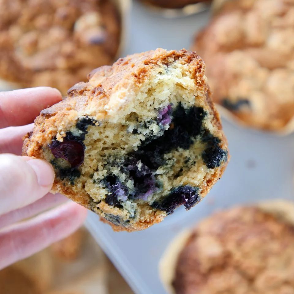 Jumbo Blueberry Muffins Baked Until the Tops Dome