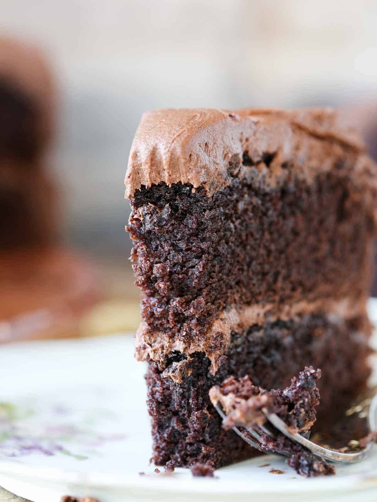 Moist Chocolate Cake Baked Until the Center Springs Back