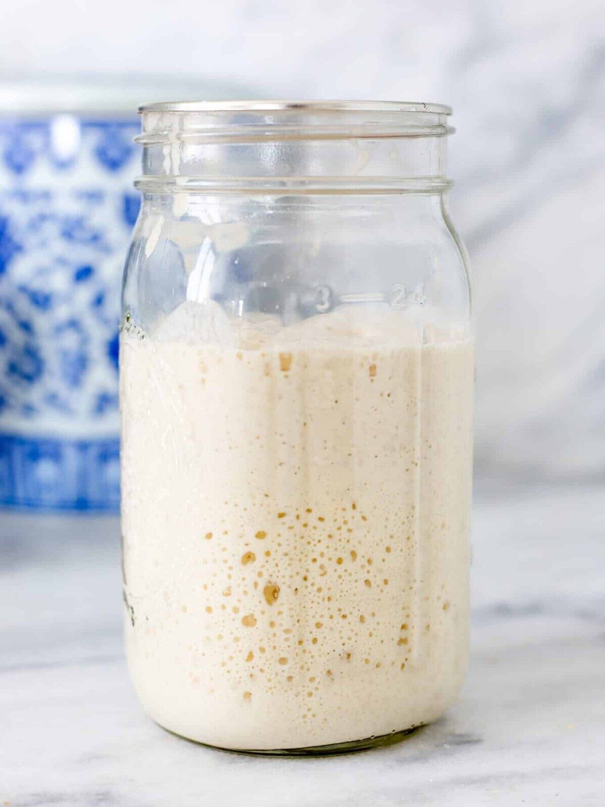 Sourdough Starter Rested Before Slicing