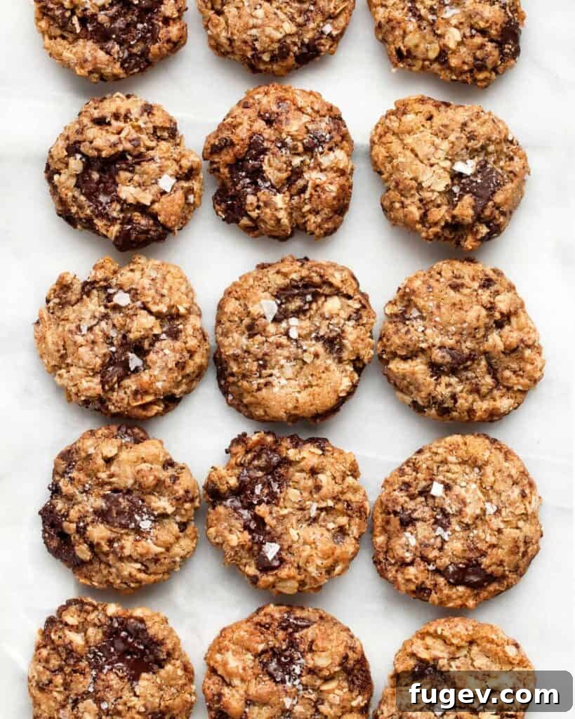 Decadent Salty Oatmeal Chocolate Chip Cookies 2 Salted Oatmeal Chocolate Chip Cookies - close up of a cookie with chocolate and oats