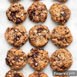 Salted Oatmeal Chocolate Chip Cookies