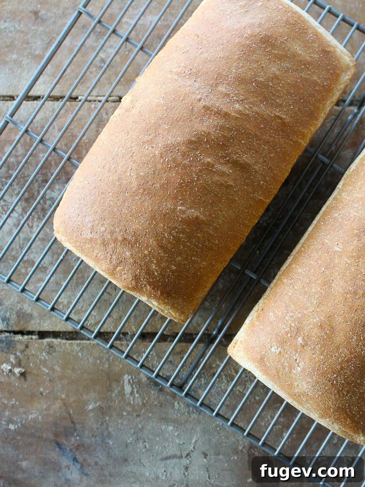 Hearty Homemade Whole Wheat Bread 4 Two loaves of sandwich bread cooling on a metal rack, crust golden and evenly baked.