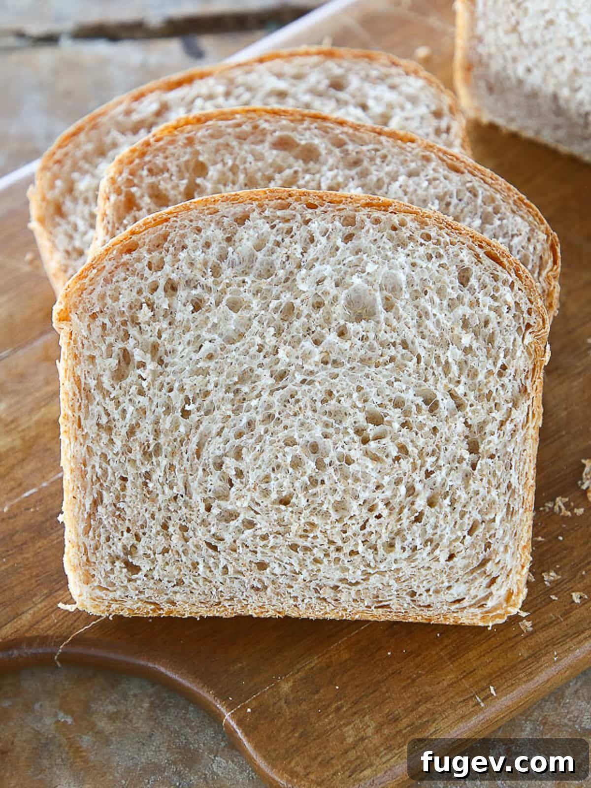 Hearty Homemade Whole Wheat Bread 5 The inside of a whole wheat sandwich loaf shown to highlight its fluffy, tender texture.