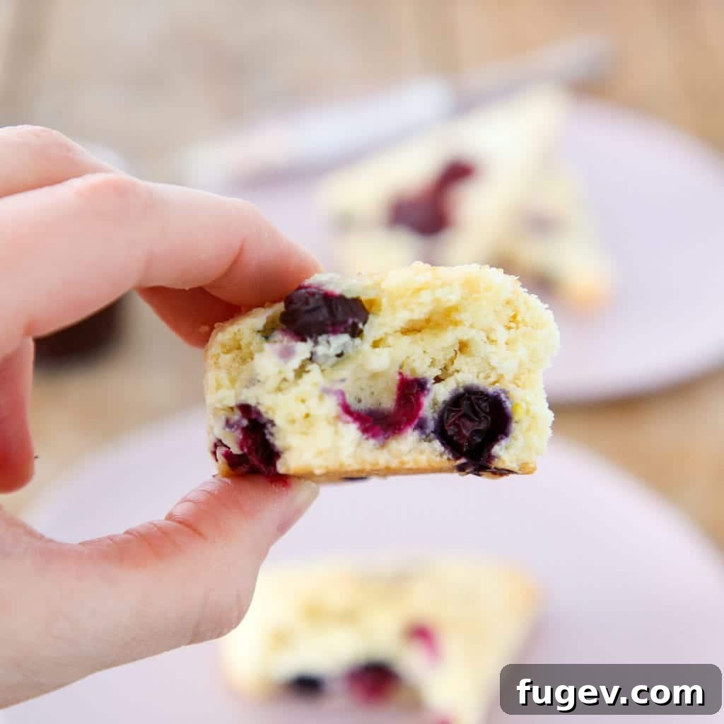 Bursting Blueberry Scones 4 Freshly baked blueberry scones cooling on a wire rack, with some stacked in the background.