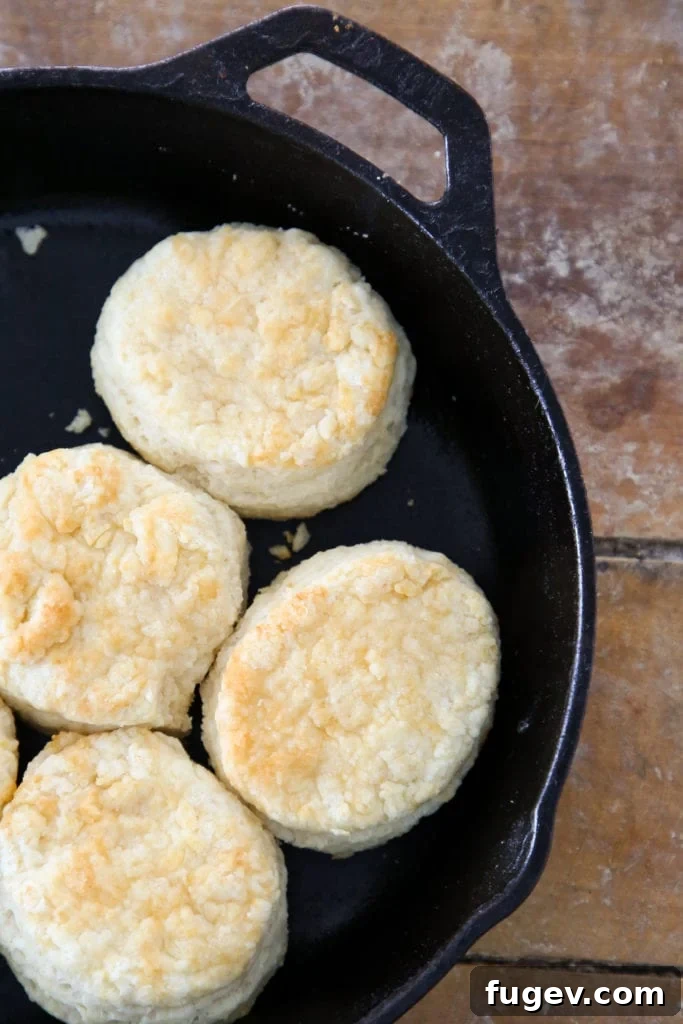Pillowy Buttermilk Biscuits 5 Buttermilk biscuits baked to golden perfection.
