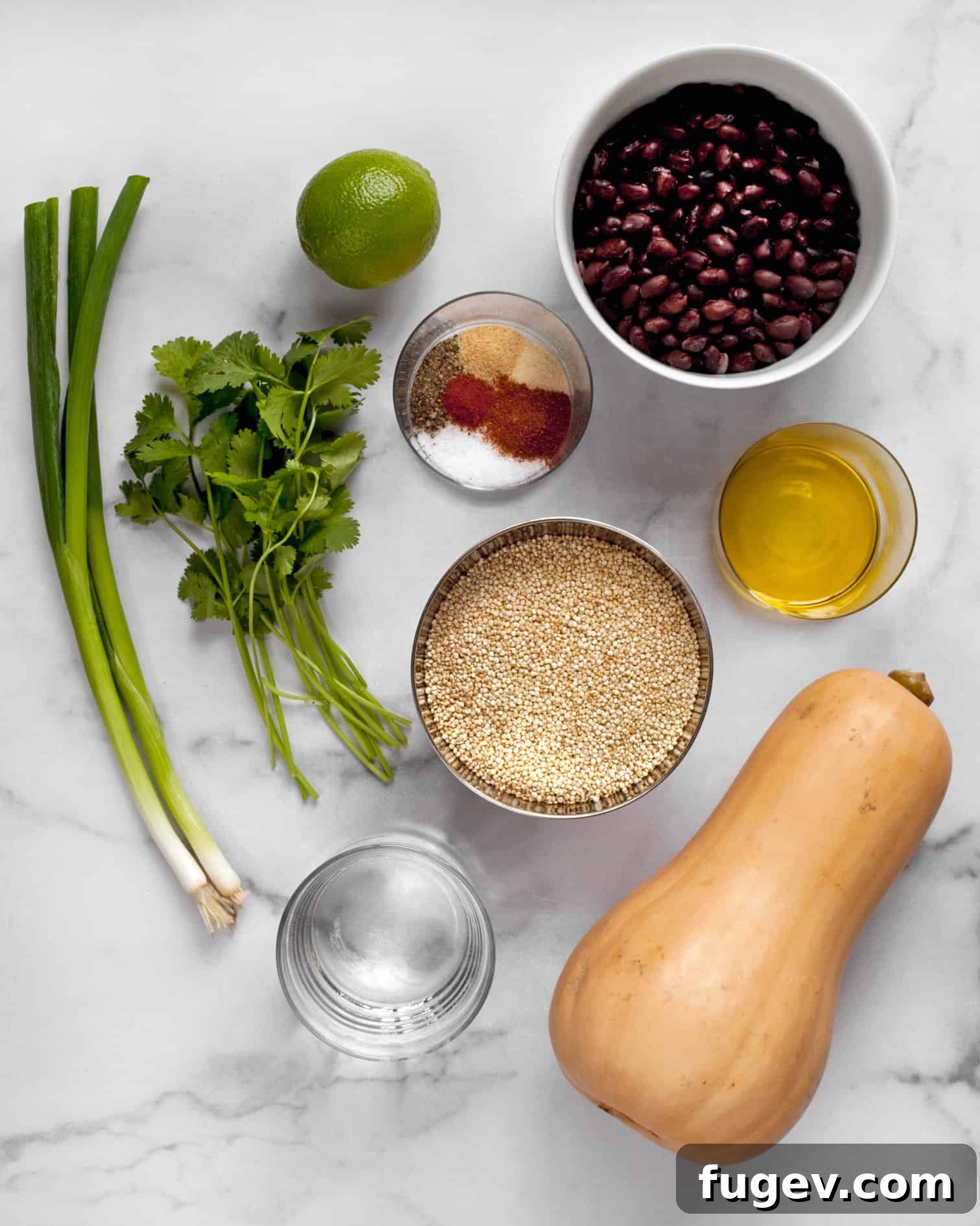 Butternut Squash Black Bean Quinoa Power Bowl 4 A flat lay photograph showcasing the fresh ingredients for the butternut squash black bean quinoa: diced squash, canned black beans, quinoa, sliced scallions, and fresh cilantro.