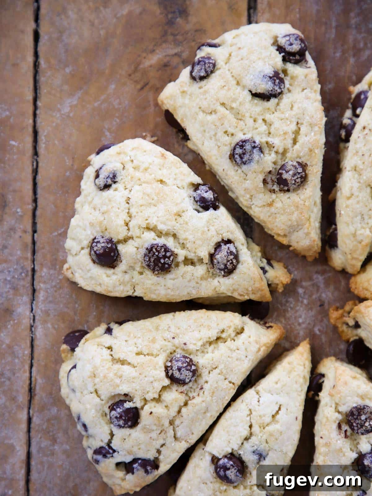 Heavenly Chocolate Chip Scones 2 Close-up of a perfectly baked chocolate chip scone, glistening with sugar, on a light background. Features visible chocolate chips and a soft interior texture.