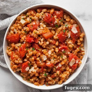 Hearty Tomato Farro Bake 7 A comforting bowl of baked farro risotto with vibrant tomatoes, garnished with fresh herbs, ready to be enjoyed.