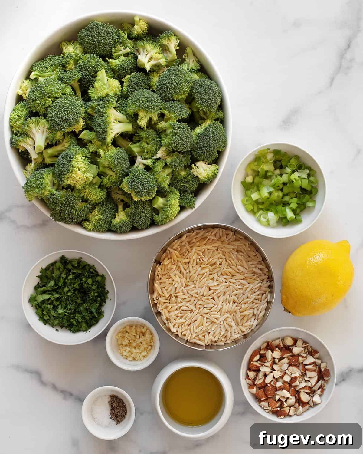 Golden Roasted Broccoli Orzo 3 A flat lay photograph of all the ingredients including fresh broccoli, lemon, garlic, orzo pasta, scallions, almonds, olive oil, salt and pepper.