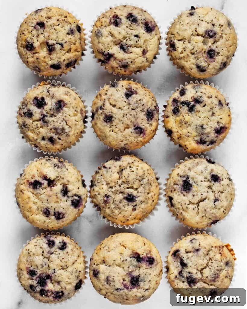 Plant-Based Blueberry Chia Burst Muffins 2 Vegan Blueberry Chia Muffins, perfectly baked with a golden crust