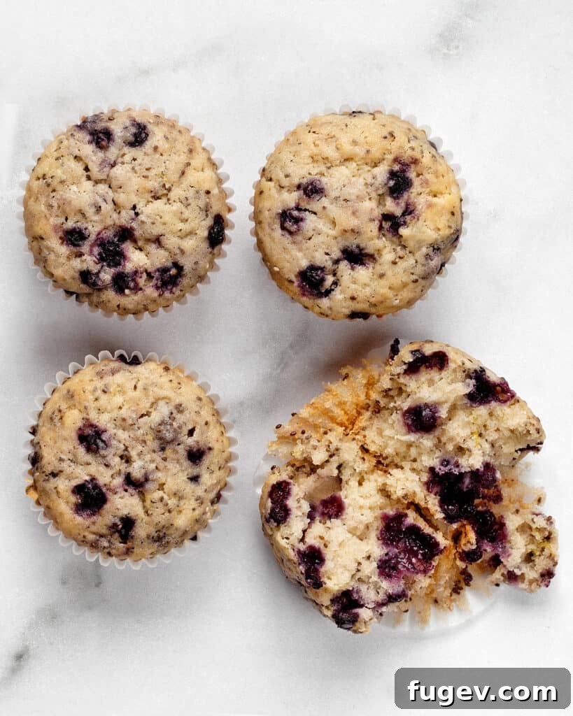 Plant-Based Blueberry Chia Burst Muffins 3 Freshly baked vegan blueberry muffins with chia seeds cooling on a rack