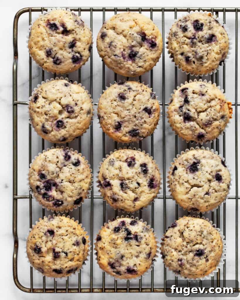 Plant-Based Blueberry Chia Burst Muffins 6 Several vegan blueberry muffins cooling on a wire rack after baking