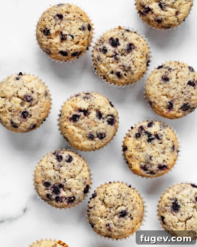 Plant-Based Blueberry Chia Burst Muffins 8 A basket of freshly baked vegan blueberry chia muffins, ready to be enjoyed