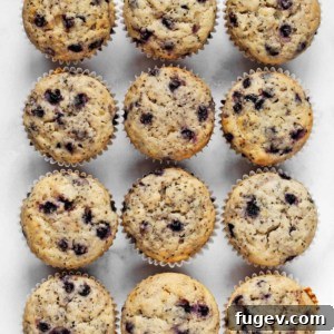 Vegan Blueberry Chia Muffins