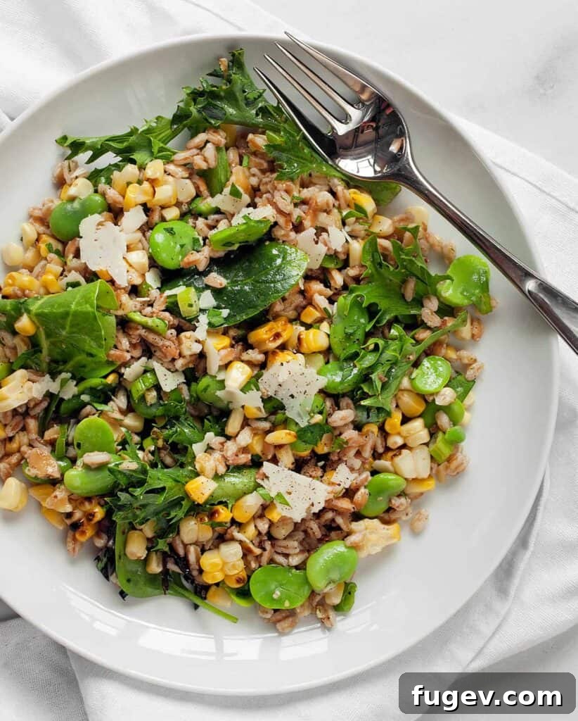 Charred Corn and Fava Farro Salad 2 Grilled Corn Fava Bean Farro
