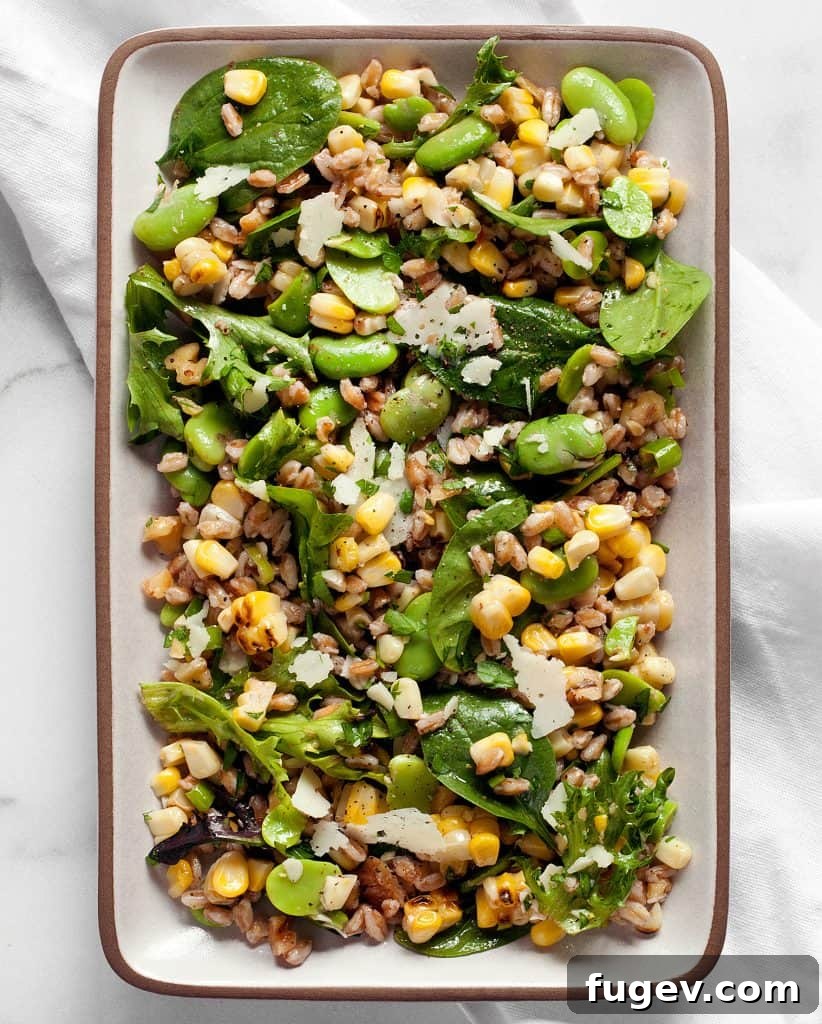 Charred Corn and Fava Farro Salad 3 Farro with corn and fava beans