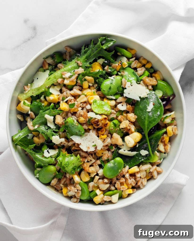 Charred Corn and Fava Farro Salad 5 Grilled Corn Fava Bean Farro
