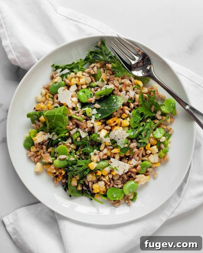 Charred Corn and Fava Farro Salad 7 Grilled Corn Fava Bean Farro