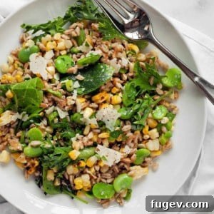 Charred Corn and Fava Farro Salad 8 Grilled Corn Fava Bean Farro