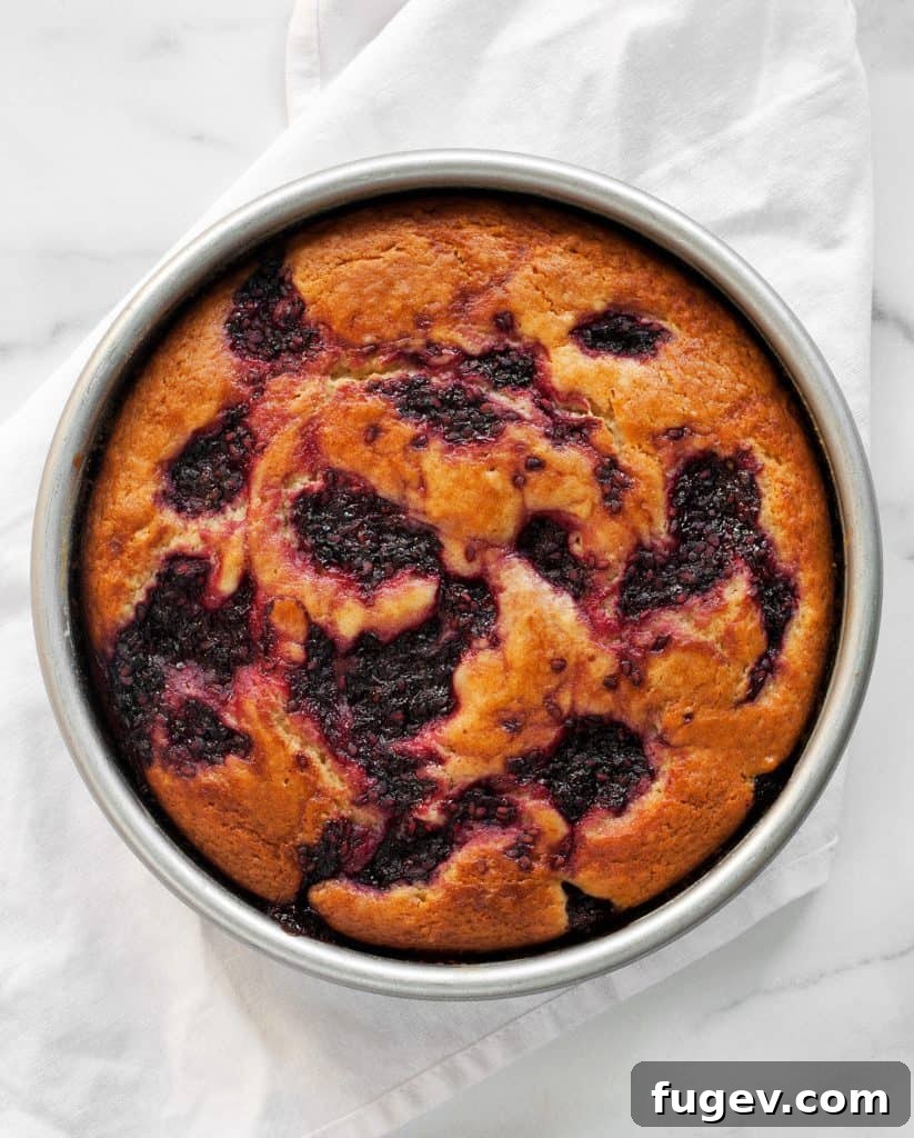 Zesty Lemon Blackberry Yogurt Bliss 3 Blackberry Lemon Yogurt Cake in a Pan