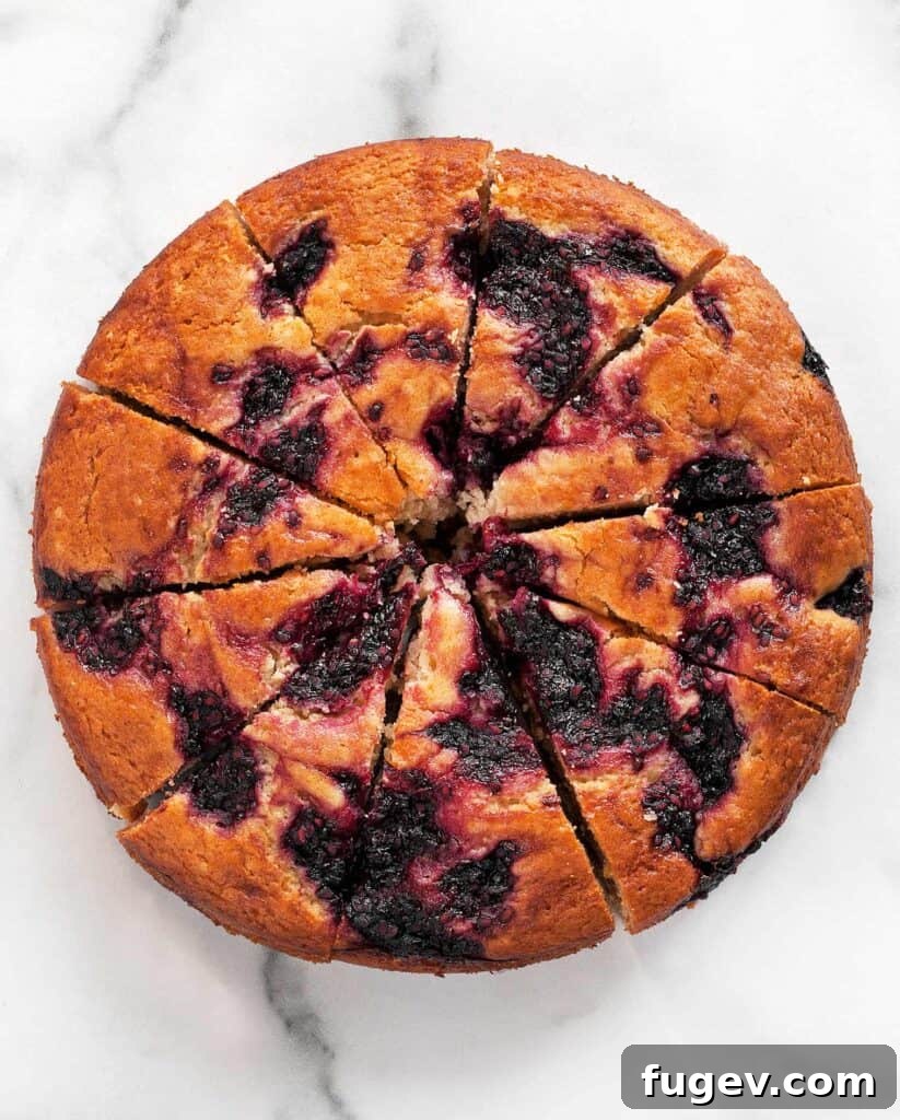 Zesty Lemon Blackberry Yogurt Bliss 5 Blackberry Lemon Yogurt Cake