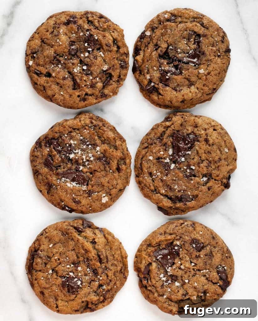 Cinnamon-Kissed Vegan Chocolate Chip Cookies 2 Vegan Cinnamon-Spiced Chocolate Chip Cookies - a soft-baked vegan cookie with chocolate chunks and a hint of chili, perfect for fall baking