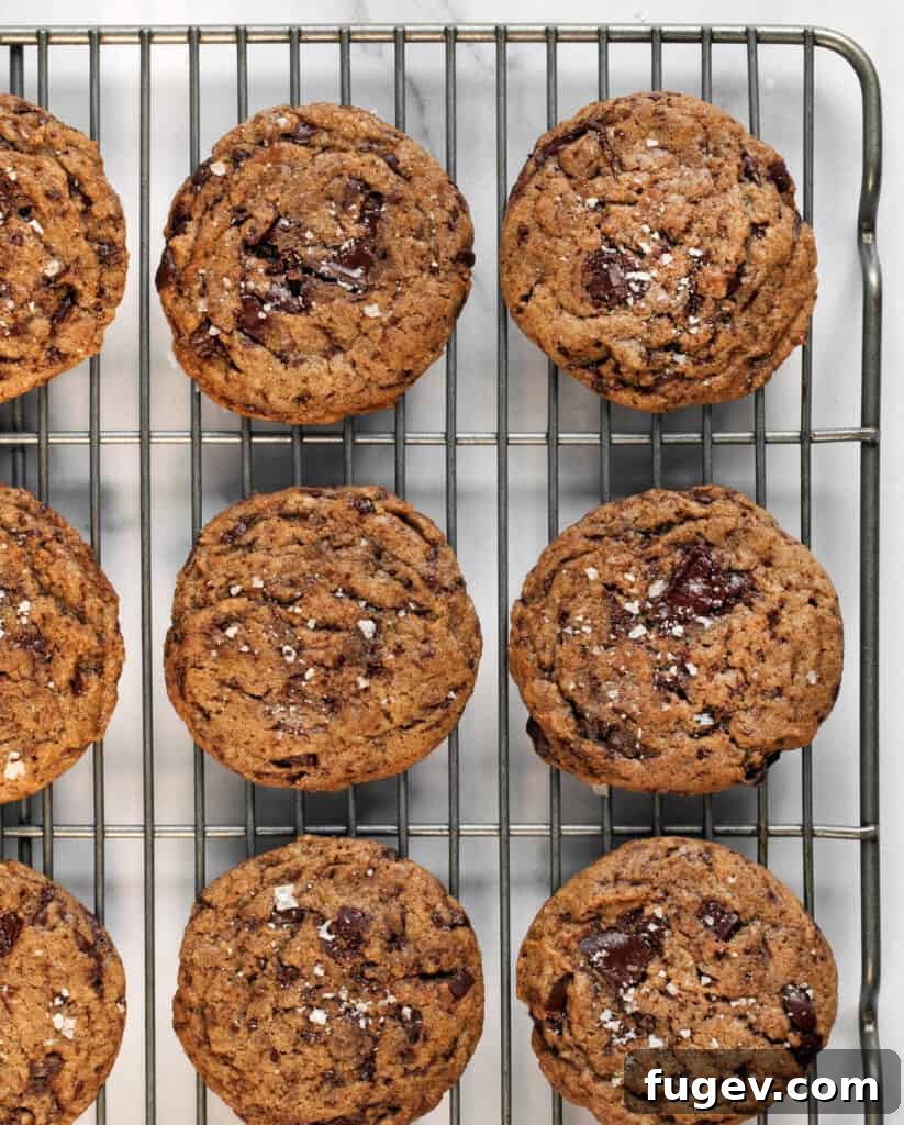 Cinnamon-Kissed Vegan Chocolate Chip Cookies 5 Vegan cinnamon chocolate chip Cookies cooling on a rack, perfectly golden brown
