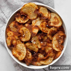 A bowl brimming with freshly baked, crispy potato chips, perfectly seasoned and ready to enjoy.