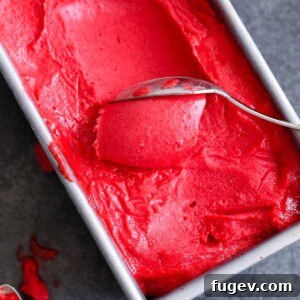 Crimson Berry Bliss 5 Raspberry Sorbet being scooped with a silver spoon from a metal container.