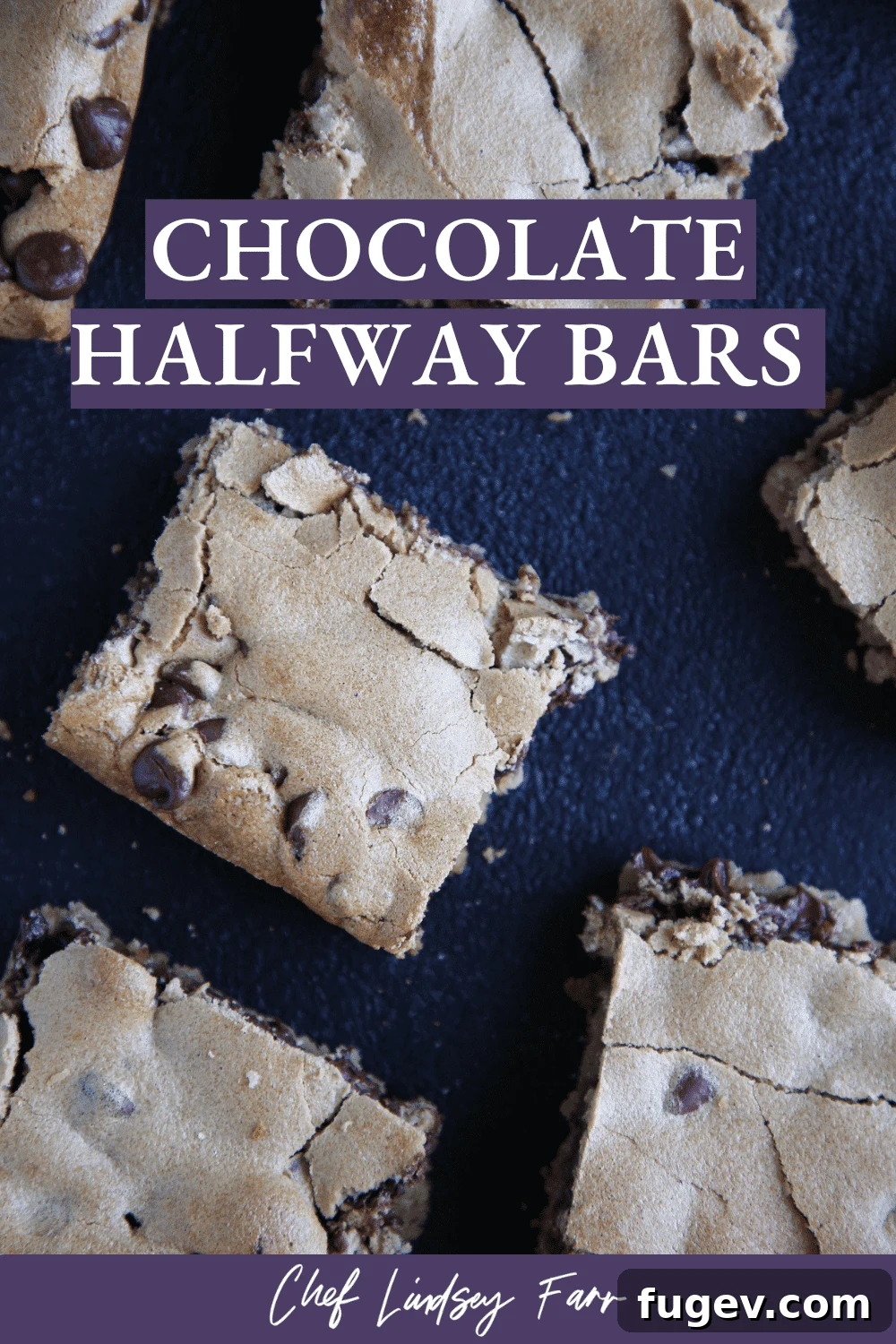 Chocolate Harmony Bars 9 Chocolate Halfway Bars with a moody, artistic presentation