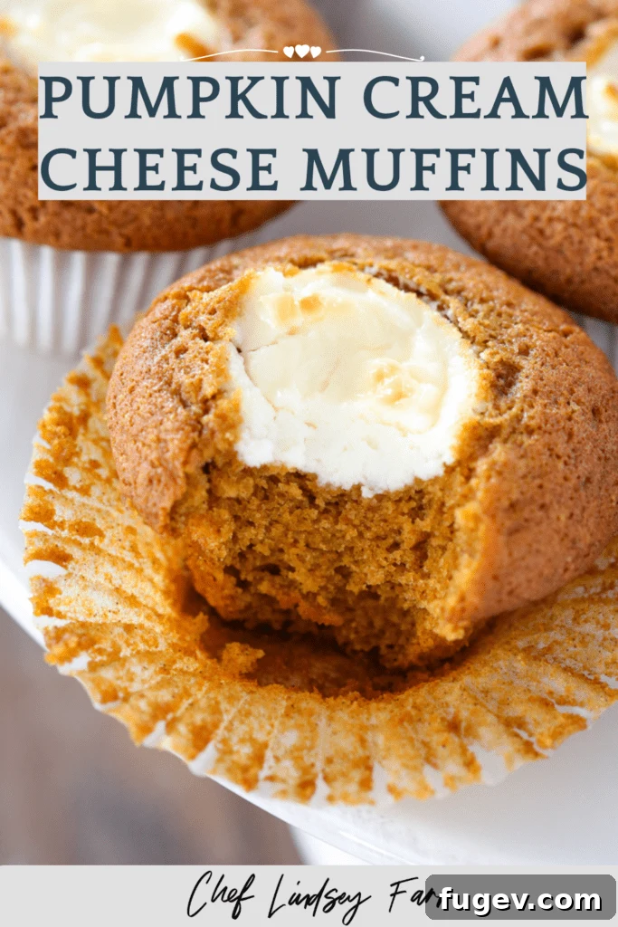 Swirled Pumpkin Cream Cheese Muffins 7 Pumpkin Cream Cheese Muffins, close up of a single muffin.