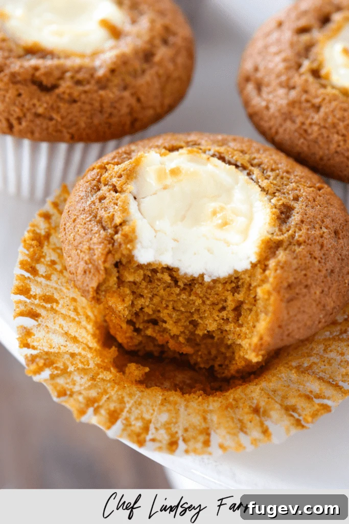 Swirled Pumpkin Cream Cheese Muffins 8 Two Pumpkin Cream Cheese Muffins on a wooden board.