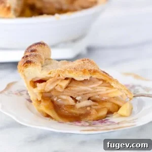 A delicious slice of Cinnamon Apple Pie on a plate with elegant floral details.