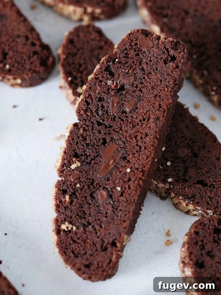 Decadent Chocolate Biscotti 2 Gooey chocolate chunks visible in perfectly crunchy double chocolate biscotti, ready for dipping.
