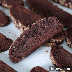 Decadent Chocolate Biscotti 5 A single piece of the best Double Chocolate Biscotti, showing its rich texture and chocolate chips.