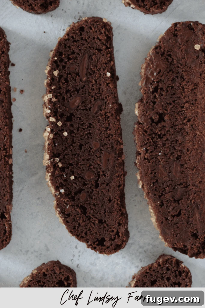 Decadent Chocolate Biscotti 7 A close-up shot emphasizing the rich chocolate texture and delightful crunch of the biscotti.