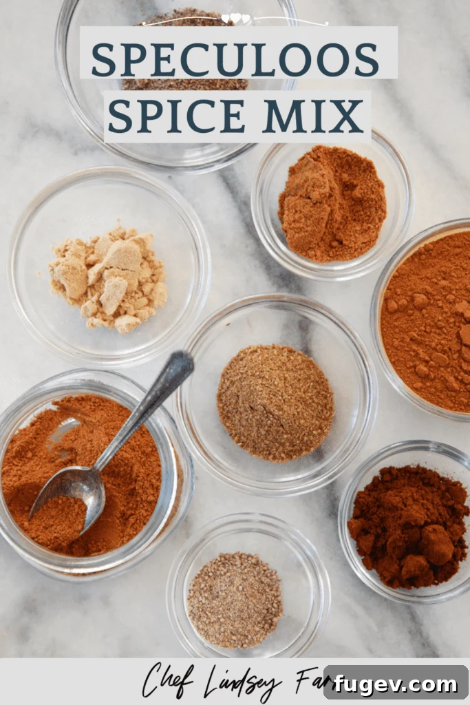 Homemade Speculoos Spice Blend 7 A top-down view of Speculoos Spice Mix in a small wooden bowl, surrounded by whole spices and a measuring spoon, emphasizing its rich, inviting color.