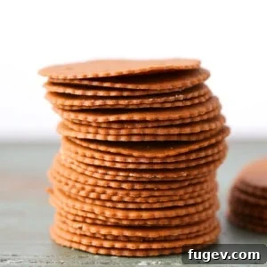 20 Festive Christmas Cookie Recipes 27 Moravian Christmas Cookies - Featured Image
