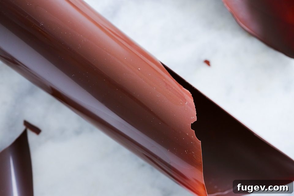 Ice Bath Tempering Your Dark Chocolate to Perfection 7 Chef's tools next to tempered dark chocolate