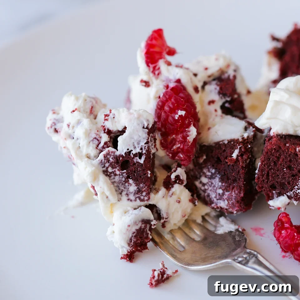 Ruby Raspberry Velvet Trifle 6 Overhead view of a beautifully prepared Red Velvet Raspberry Trifle with fresh raspberry garnishes