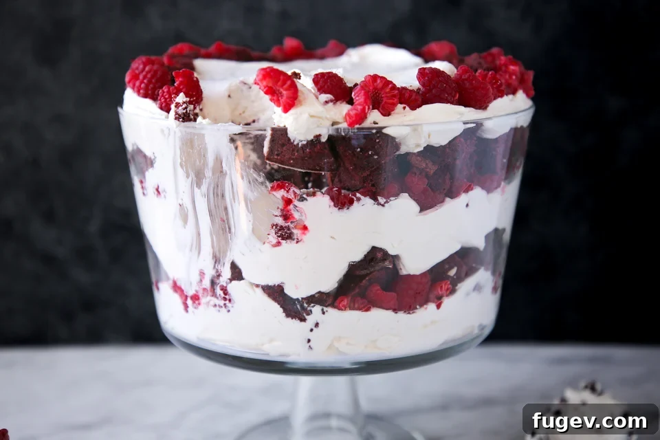 Ruby Raspberry Velvet Trifle 7 Side view of the Red Velvet Raspberry Trifle, emphasizing the depth and texture of its layers
