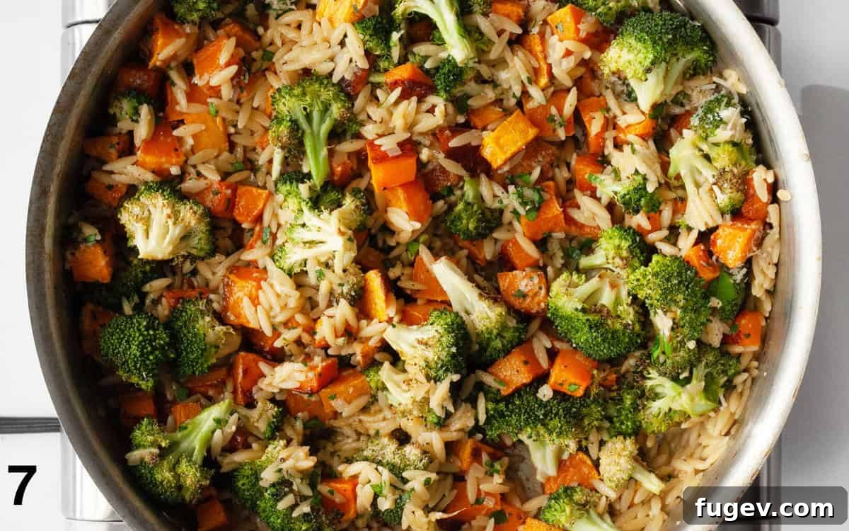 Hearty Roasted Butternut Squash and Broccoli Orzo 7 Roasted vegetables, Parmesan cheese, and fresh parsley are stirred into the creamy orzo.