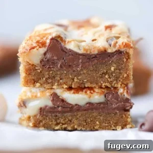 Ooey Gooey Smores Bars interior detail