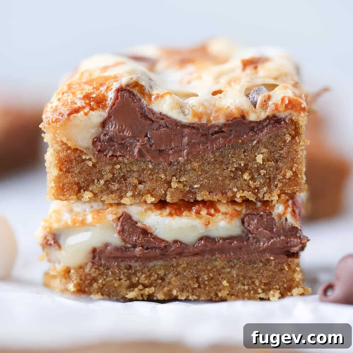 Rich & Gooey S'mores Squares 6 Ooey Gooey Smores Bars interior detail