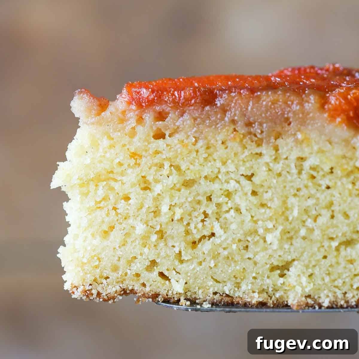 Golden Orange Inversion 3 Soft, moist cake texture viewed in a slice of orange upside down cake.