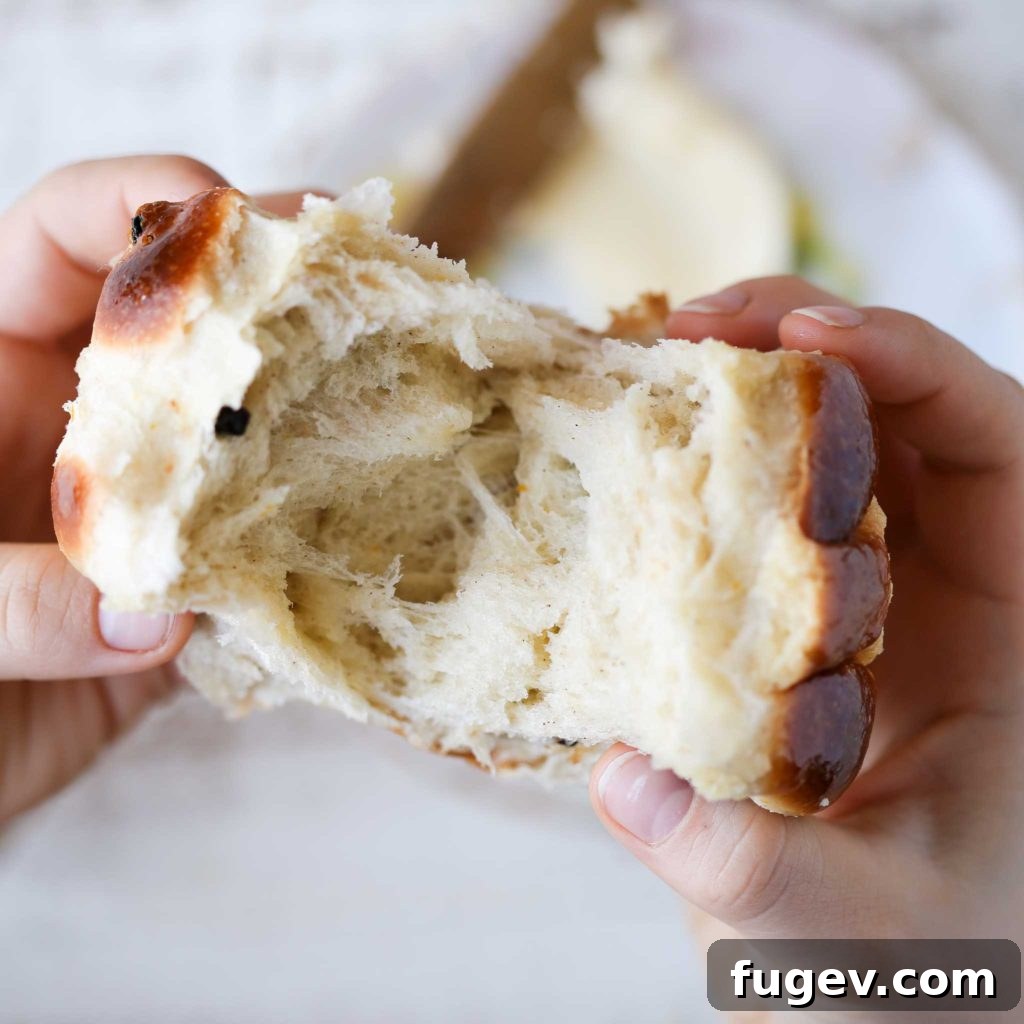 Artisan Sourdough Hot Crossed Buns 2 Soft and fluffy Sourdough Hot Crossed Buns pulled apart, showcasing their tender interior.
